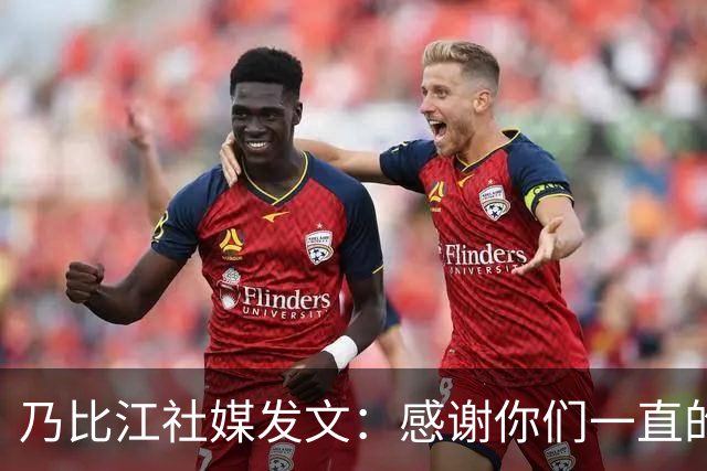 乃比江社媒发文：感谢你们一直的陪伴 下赛季见