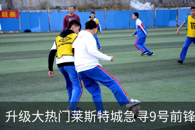升级大热门莱斯特城急寻9号前锋，追英斯失败，距开赛已不足三周