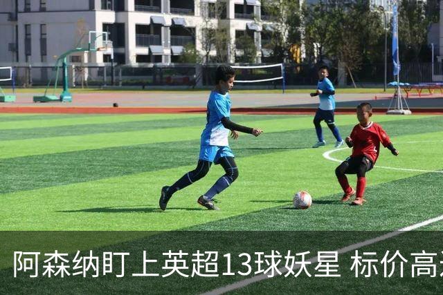 阿森纳盯上英超13球妖星 标价高达1.3亿英镑 想买？今夏基本没戏